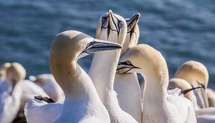 开云官网首页-马赛憾负对手，遭遇三连败局面不妙，马赛对标