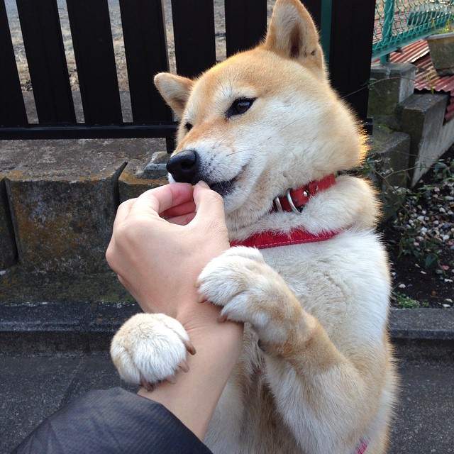 开云在线直播-_夜景跑步比赛：灯火辉煌中的健康之旅_，夜景跑步的句子