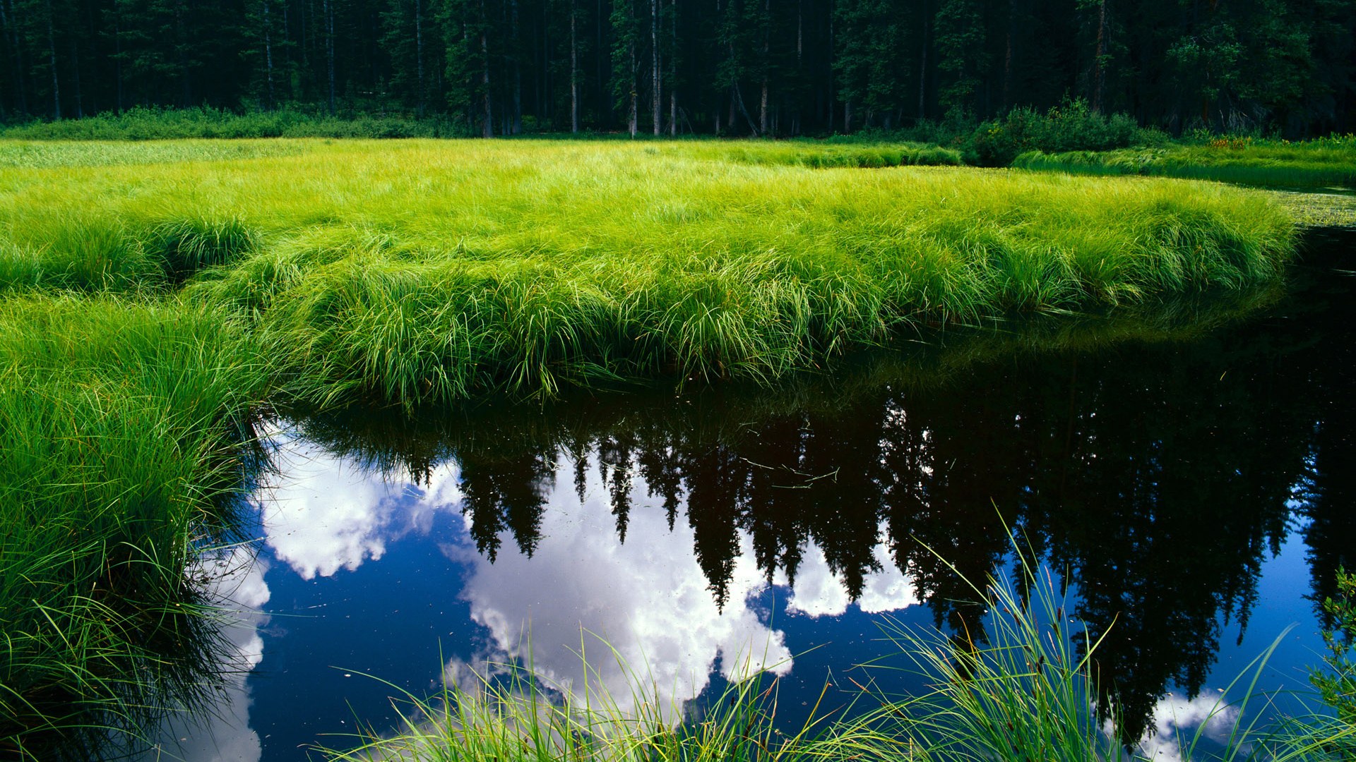 开云网页版-“西甲劲旅奋勇追赶，争夺榜首之战精彩纷呈”，西甲经典比赛