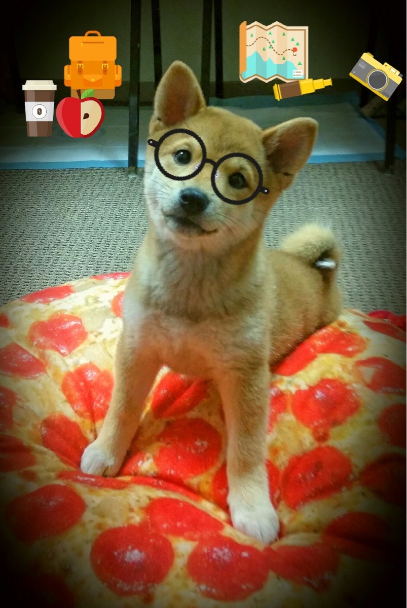 开云·体育官网-【逆境突围】马克·塞尔比：逆境中锻造冠军心态，马克,塞尔比