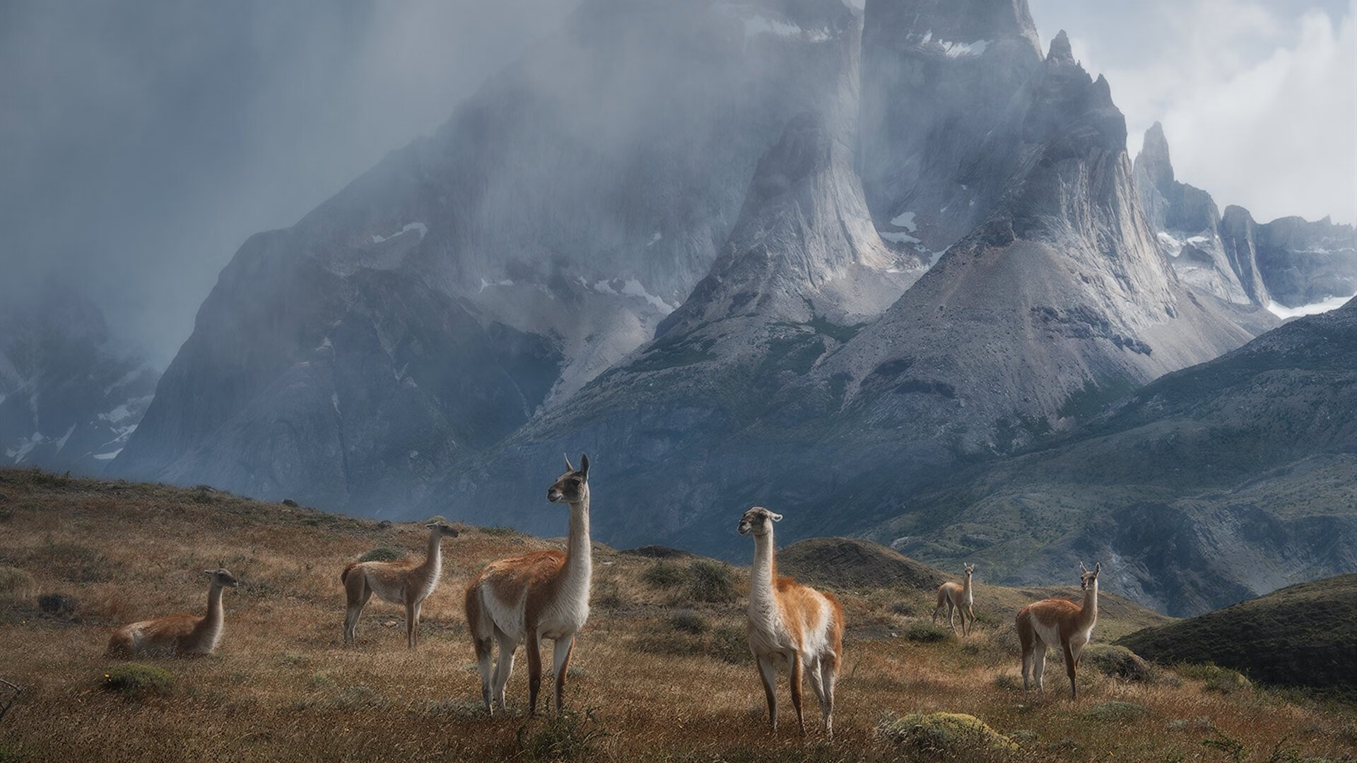 赛季“悬念剧”不断：排名变化背后隐藏的“秘密武器”