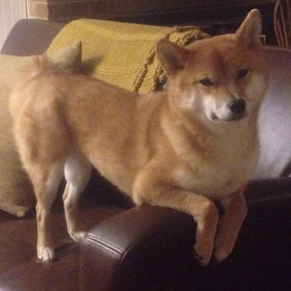 开云官网-Gen.G粉丝活动热烈进行中，粉丝活动中心官网