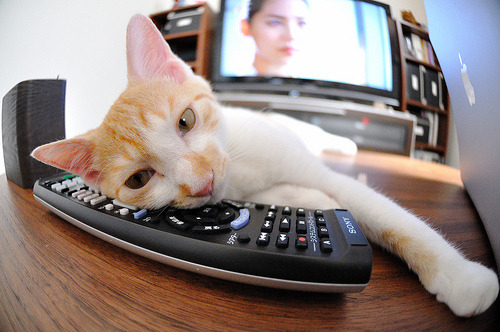 kaiyun开云·官方网站-国际米兰主场高效进攻，大胜对手取得分，国际米兰队