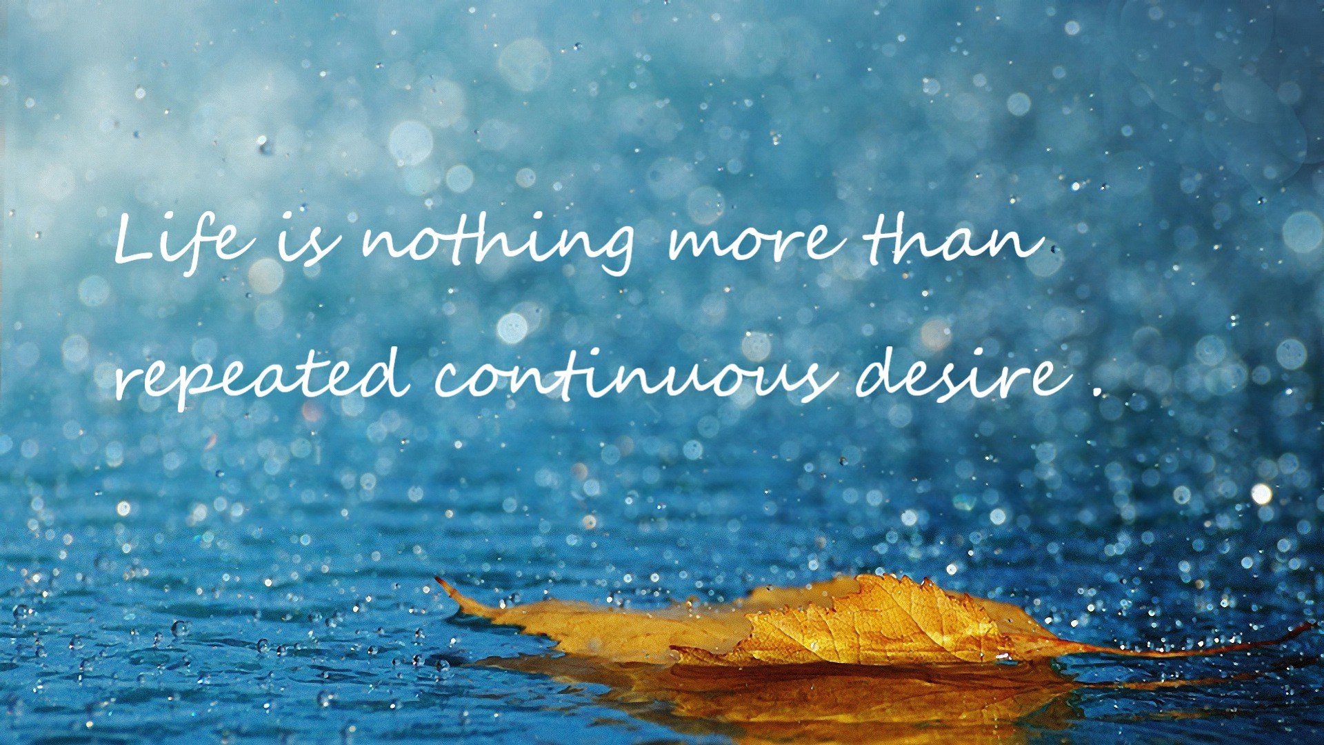 开云官网首页-太阳队遗憾失利！晋级前景堪忧！，太阳队近况