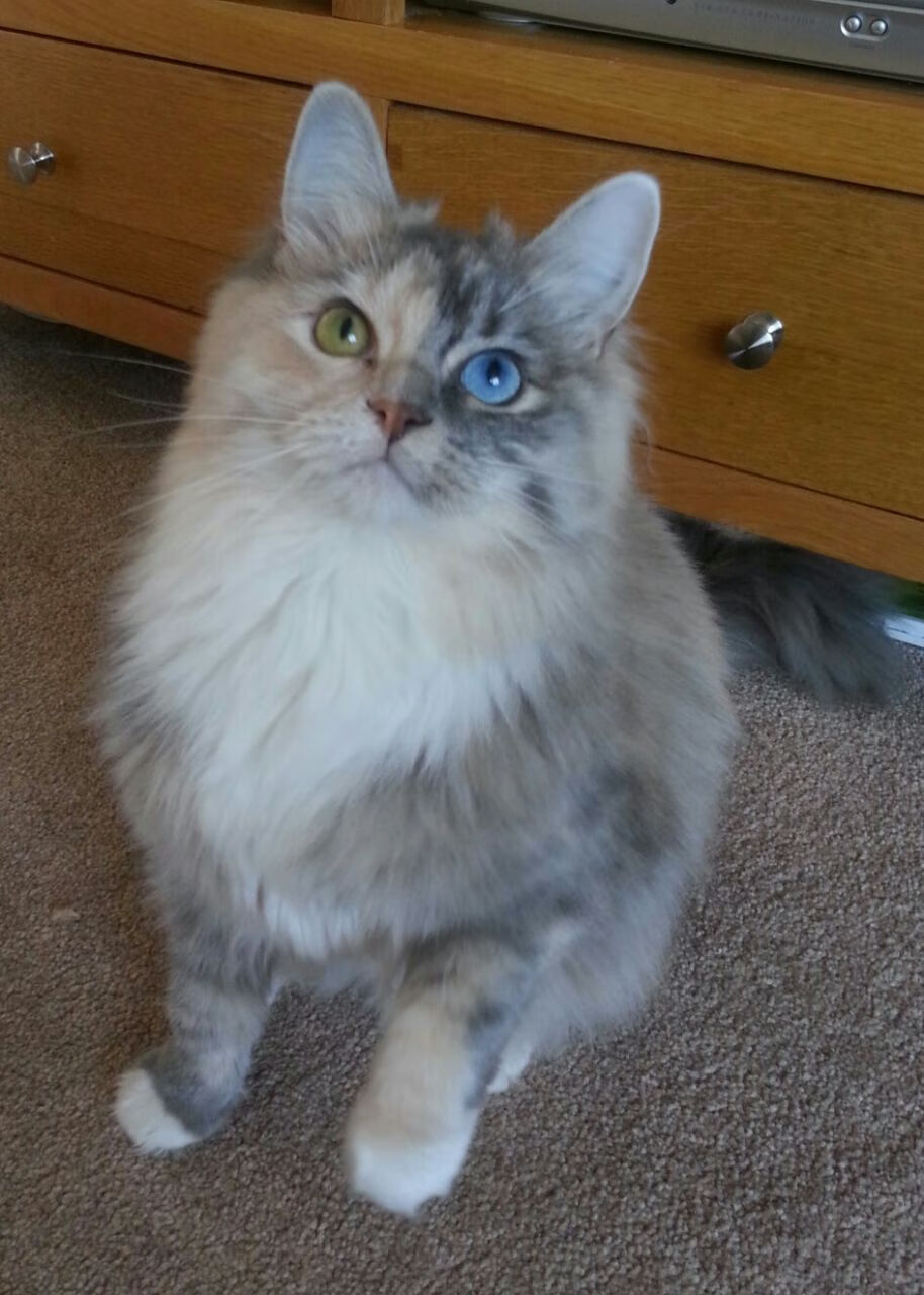 kaiyun登录入口-布鲁诺·卡博克洛在巴黎奥运会小组赛中三分球命中率达到57.1%，布鲁诺比赛视频