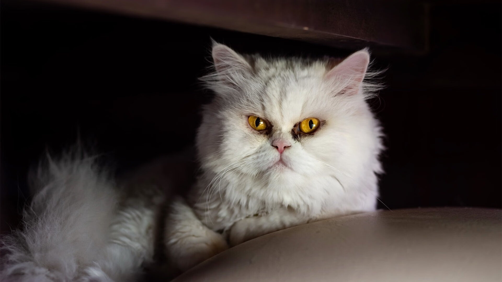 kaiyun 开云体育-韩国队派出全主力阵容，力争突破中国垄断，韩国队球员名单