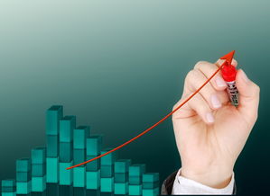 KAIYUN 中国大陆-篮球专项技能视频教学资源开发应用，篮球技术教程