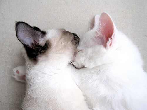 开云kaiyun-五大联赛是否推动中场压迫频率数据化管理，五大联赛中场球员