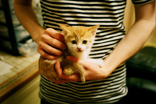 开云网站-西甲顶级门将的技术剖析，西甲门将60米吊射